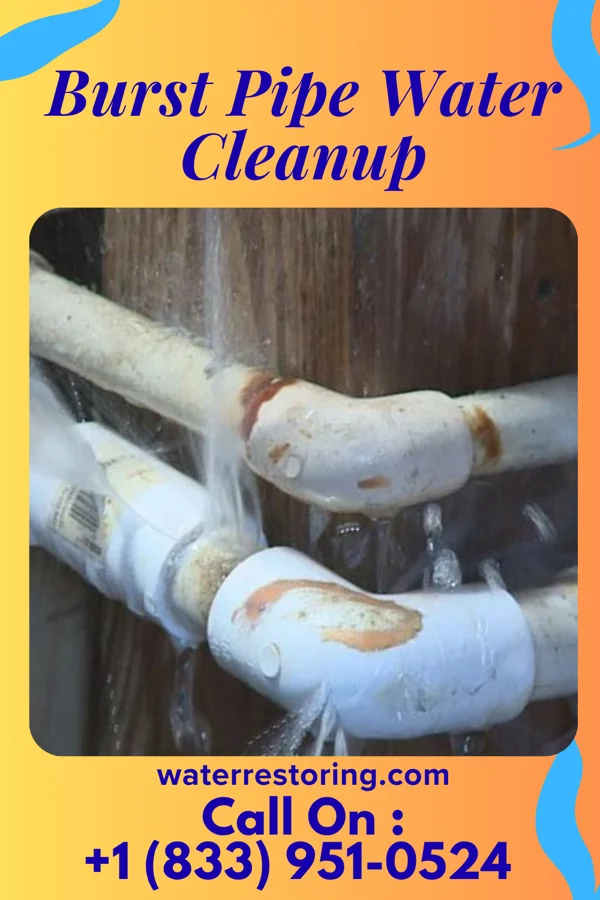 Burst Pipe Water Cleanup in Country Knolls, NY