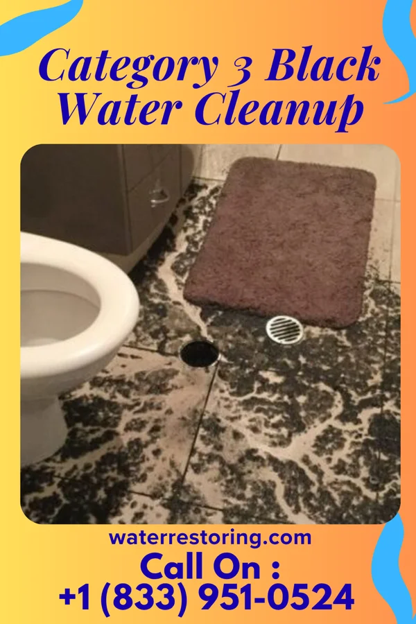 Category 3 Black Water Cleanup in Country Knolls, NY