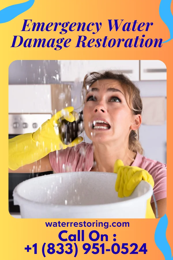 Emergency Water Damage Restoration in Country Knolls, NY