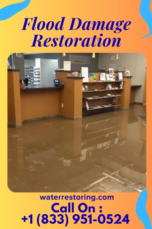 Flood Damage Restoration in Country Knolls, NY