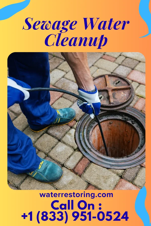 Sewage Water Cleanup in Country Knolls, NY